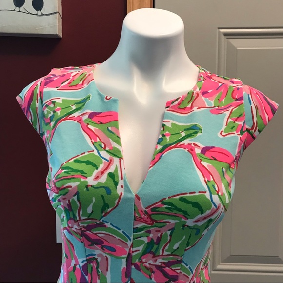 💙Lilly Pulitzer Brielle Dress - Picture 3 of 12